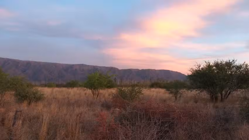 Inmobiliaria Jazm&iacute;n D&iacute;az Aguirre