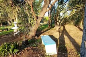 Inmobiliaria Mendez y Cia