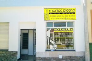 Inmobiliaria M&oacute;nica Plotino