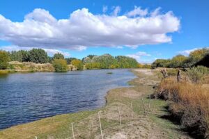 Inmobiliaria Patagonia Inmobiliaria En Trevelin