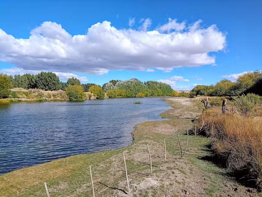 Inmobiliaria Patagonia Inmobiliaria En Trevelin