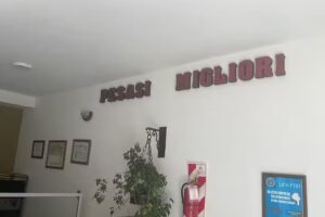 Inmobiliaria PesasiMigliori