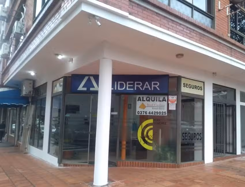 Inmobiliaria Ra&uacute;l Carrizo