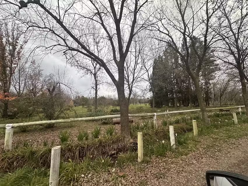 Inmobiliaria Sabrina Peluso