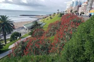 Inmobiliaria Varesse