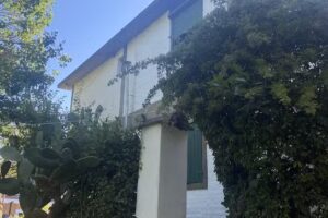 Inmobiliaria Venezia House