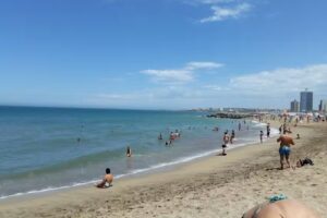 Inmobiliaria Zamorano