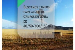 Inmobiliria Leandro Zorrilla