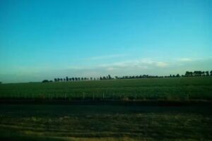 Isthar Marshall Operaciones inmobiliarias