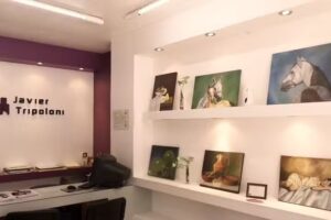 Javier Tripoloni Propiedades