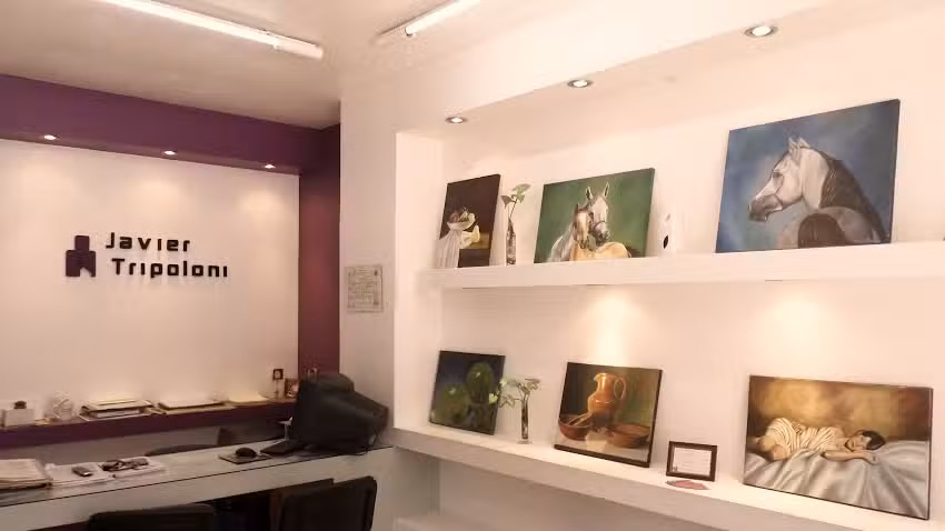 Javier Tripoloni Propiedades