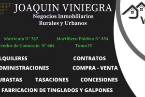 Joaqu&iacute;n Viniegra Negocios Inmobiliarios Rurales y Urbanos