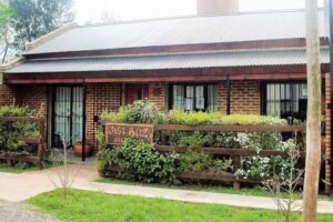 Jose Baez Propiedades