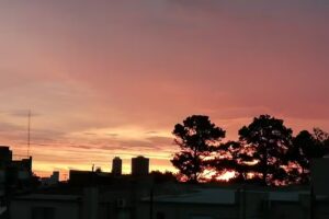 Juan Manuel Raggio Negocios Inmobiliarios