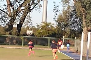 La Esquina del Olivo