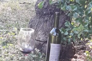 La Perla Caba&ntilde;as