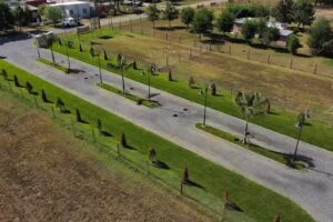 La So&ntilde;ada Barrio abierto