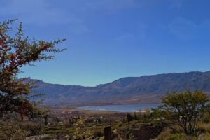 La So&ntilde;ada Familia Arriola