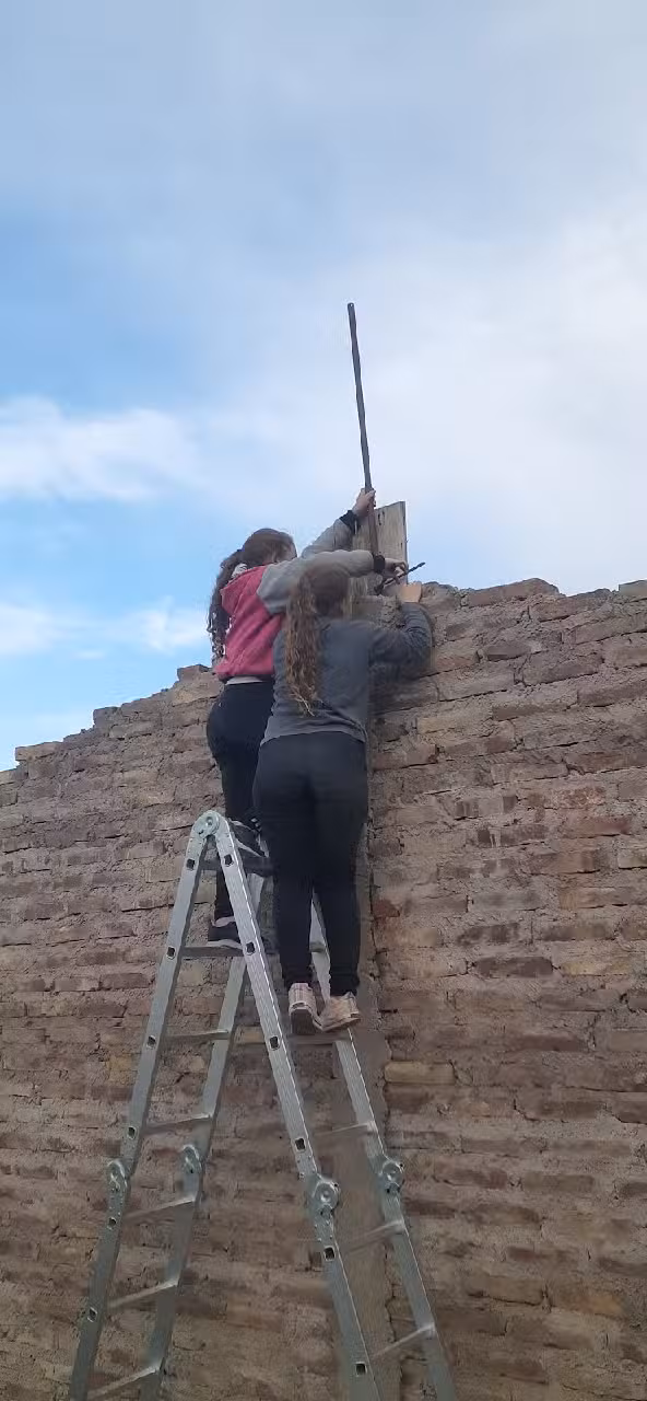 Las pulgas