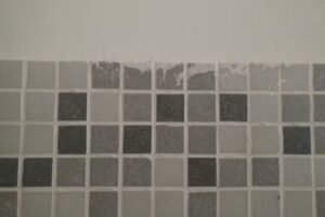 Lepore San Cristobal