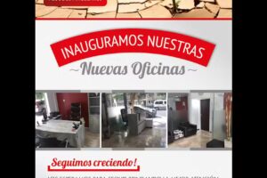 Levy Mayo Negocios Inmobiliarios
