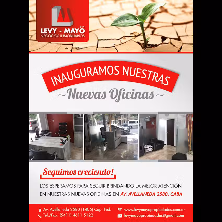 Levy Mayo Negocios Inmobiliarios