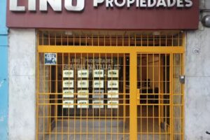 Lino Propiedades