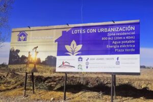 Lirios de San Jos&eacute;