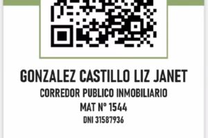 Liz Gonzalez Castillo Servicios Inmobiliarios