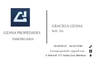 Lizana propiedades
