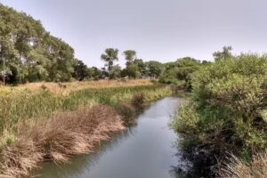 Lo de Patto Chapadmalal