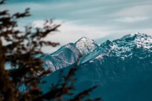 Los Cerros Propiedades