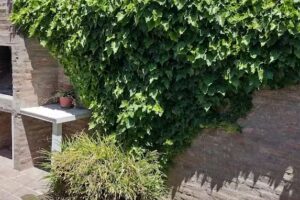 Los Chalecitos De Claromeco