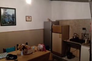 Los olivos gral belgrano