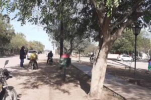 Lote 2 La Ca&ntilde;ada Depertamento Figueroa Ruta 2 Santiago Del Estero