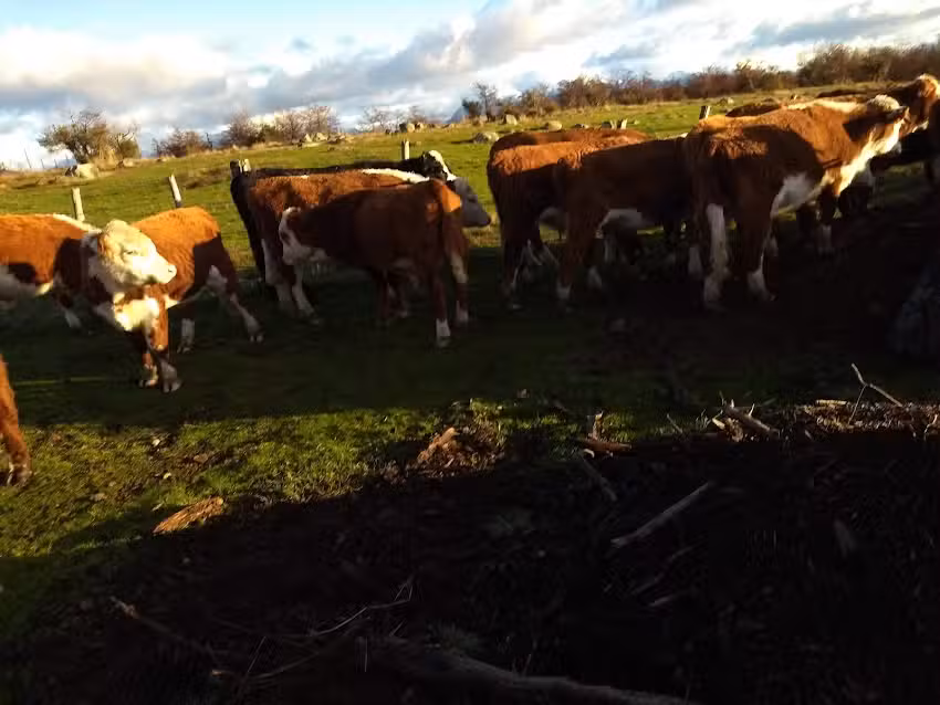 Loteo Las Cascadas r&iacute;o Nant y fall