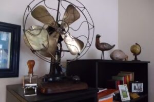 Mantella Propiedades