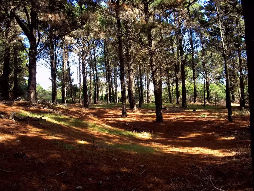 Mar Azul inmobiliaria