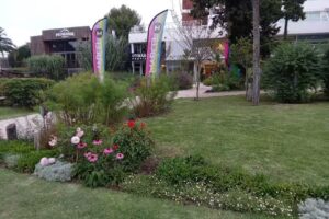 Marcel Gestion Inmobiliaria