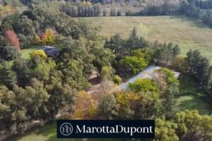 MarottaDupont Propiedades