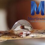 Martirania Inmobiliaria