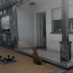 Mc Negocios Inmobiliarios