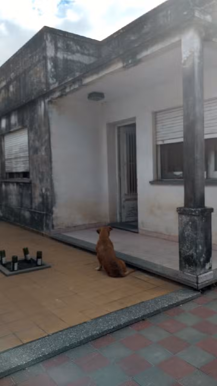 Mc Negocios Inmobiliarios