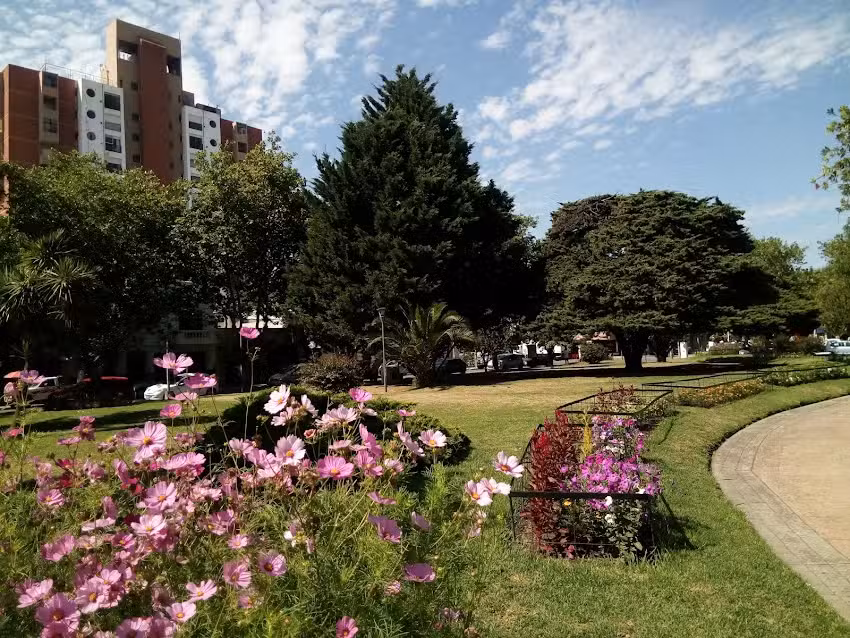 Miramar Inmobiliario