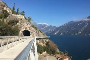 Monica Bianchini Bienes Raices