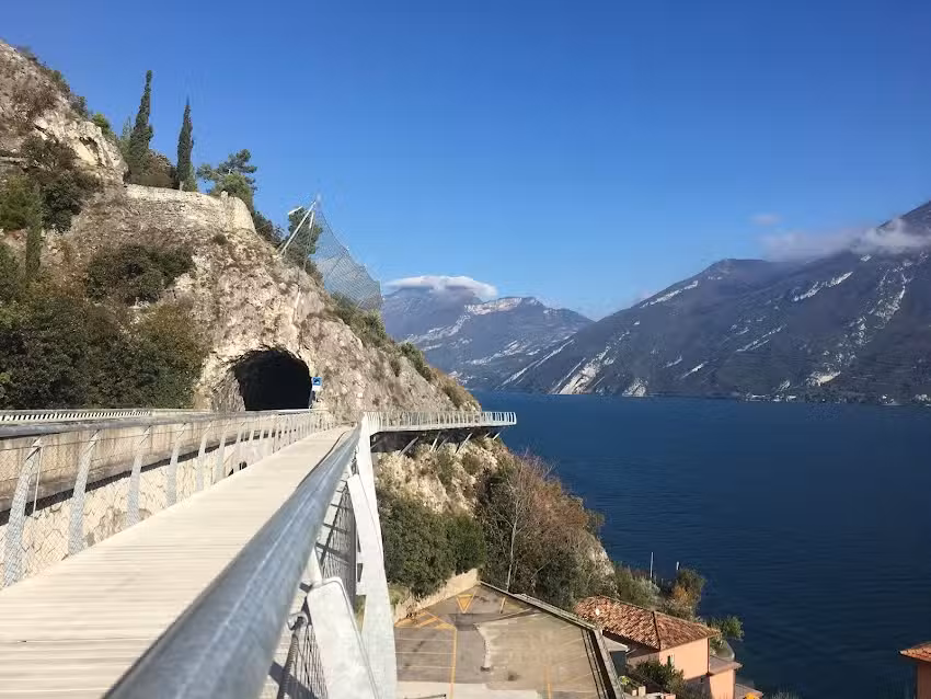 Monica Bianchini Bienes Raices