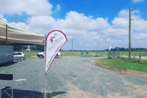 Monica Petrino Propiedades