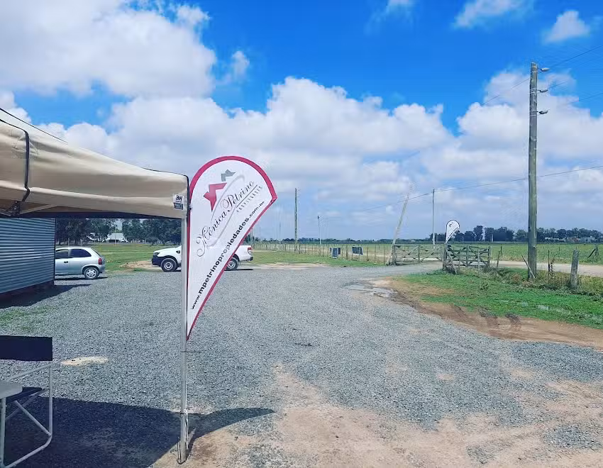 Monica Petrino Propiedades