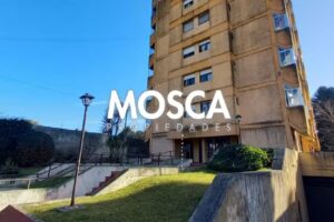 Mosca Propiedades