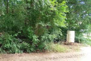 Mrgim&eacute;nez Servicios Inmobiliarios